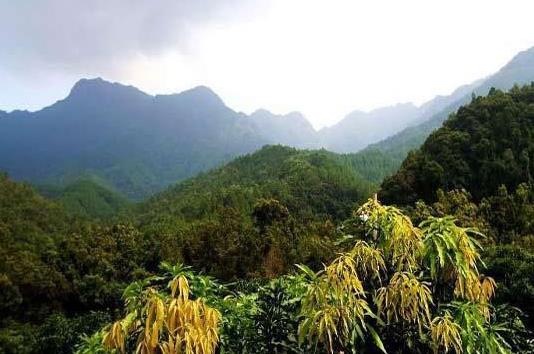 海南省昌江市十大旅游景點(diǎn)排行榜 昌江有什么好玩的地方
