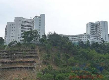 香港油大埔區(qū)十大旅游景點排行榜 大埔區(qū)有什么好玩的地方