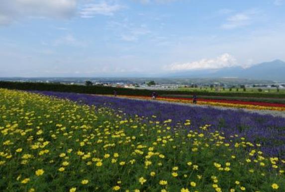 日本北海道十大旅游景點(diǎn)排行榜 北海道有什么好玩的地方