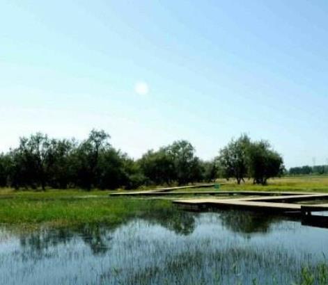 愛沙尼亞哈留縣十大旅游景點(diǎn)排行 獨(dú)立戰(zhàn)爭勝利紀(jì)念柱位于自由廣場