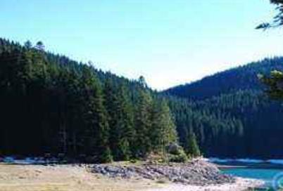 黑山十大旅游景點(diǎn)排行 塔拉河谷大橋位于黑山北部塔拉河谷地區(qū)