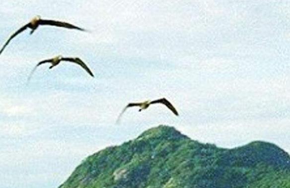 各國(guó)的十大秘境旅游排行 赫德島火山是澳大利亞的海外領(lǐng)地之一