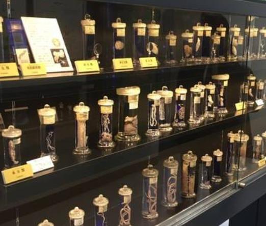 世界10大最嚇人博物館旅游排行 口技木偶帶我們回到過去的歌舞時代