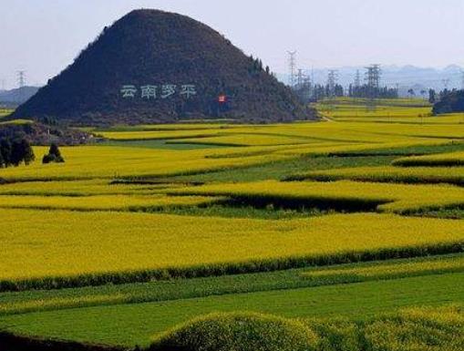 十大最色的全球美景地旅游景點排行 普羅旺斯薰衣草田泛著紫色光芒