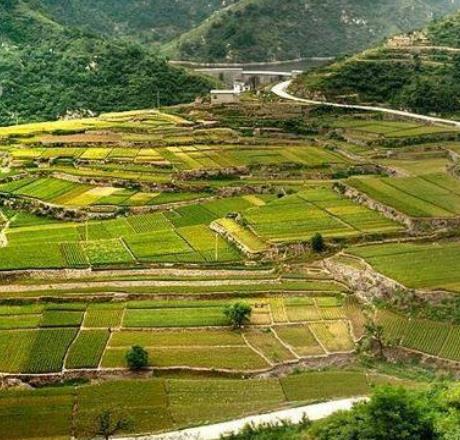 全球十大夢(mèng)想旅行地旅游景點(diǎn)排行 長(zhǎng)頸鹿莊園十分有趣