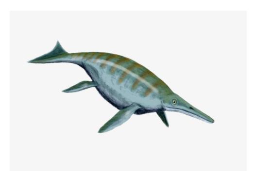 地球五大最可愛動(dòng)物 尖嘴魚與海馬和海龍是同一族生物