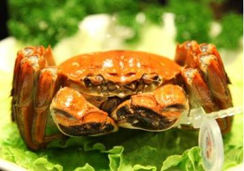 遼寧營口土特產品排行 小黃花魚開胃益氣