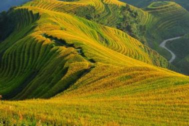 盤點(diǎn)國內(nèi)最美梯田 哈尼梯田元陽哈尼梯田是國內(nèi)最美梯田之首