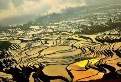 盤點(diǎn)國內(nèi)最美梯田 哈尼梯田元陽哈尼梯田是國內(nèi)最美梯田之首