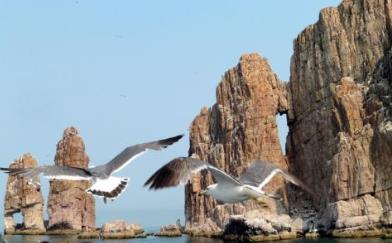 中國(guó)寶島排名 海陵島是廣東第四大海島