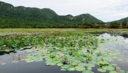 亞洲旅行勝地發榜 日本北海道排名第一