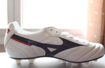 世界運動品牌排名 Nike(美國)耐克 1972年NIKE公司正式成立