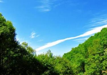 鞍山好玩的地方排行榜 玉佛苑自然人文環(huán)境很是不錯(cuò)