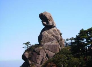 鞍山好玩的地方排行榜 玉佛苑自然人文環(huán)境很是不錯(cuò)