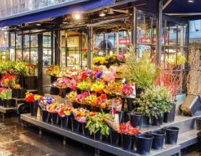 花店十大品牌 雅安花店覆蓋全國全部省會城市