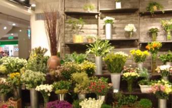 花店十大品牌 雅安花店覆蓋全國全部省會城市