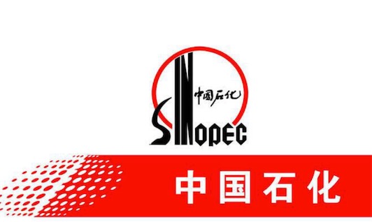 2019年中國能源集團前五強榜單 中石化回歸榜首