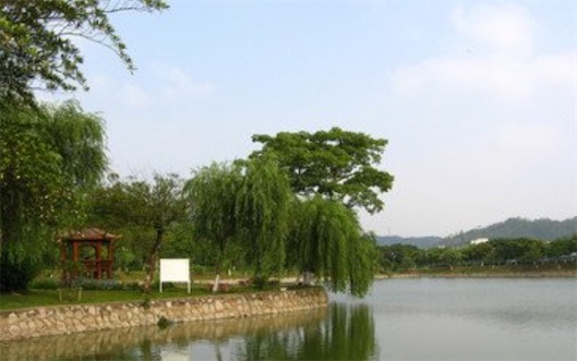 全國(guó)十大最美校園湖泊排名 北大的未名湖美如畫