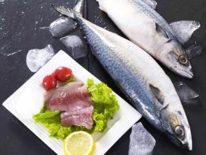 什么人適合吃鲅魚？鲅魚的營養(yǎng)價(jià)值