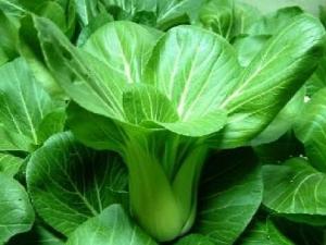 青菜的營養(yǎng)價(jià)值、功效與作用、吃青菜的好處