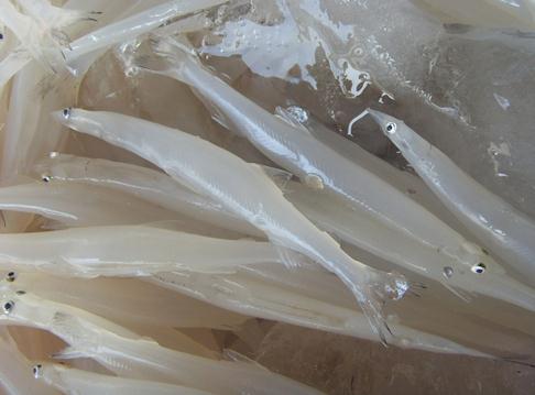 銀魚(yú)的營(yíng)養(yǎng)價(jià)值-銀魚(yú)怎么吃最好