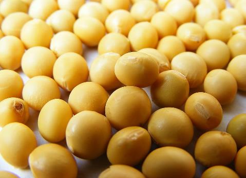吃黃豆有什么好處?黃豆有什么營養(yǎng)價(jià)值