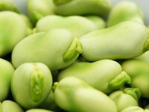 吃胡豆有什么好處？胡豆的功效與作用