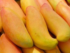 芒果的營養價值、功效與作用、食用禁忌