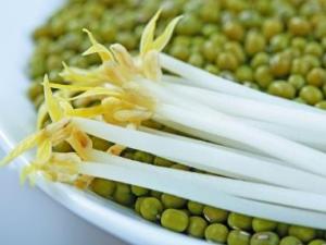 綠豆芽怎么做好吃？綠豆芽的營養價值、功效與作用