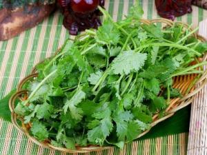 香菜怎么吃？香菜的營養(yǎng)價值、功效與作用