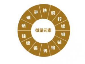 微量元素有哪些呢？微量元素的作用