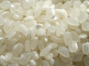 吃大米有什么好處？大米的營養價值