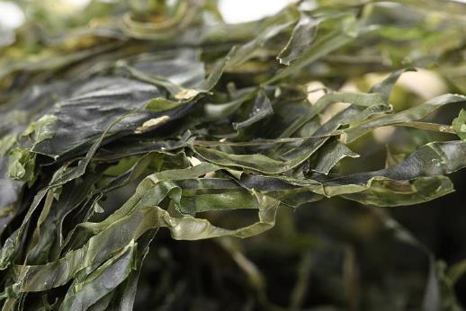 干海帶如何泡發?海帶排骨湯的功效-海帶排骨湯的做法