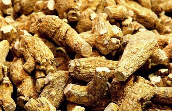 花旗參泡水喝好嗎?花旗參泡水喝的做法、功效及禁忌