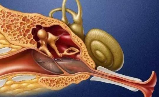 鼓膜穿孔有哪些癥狀?鼓膜穿孔需要做哪些檢查?