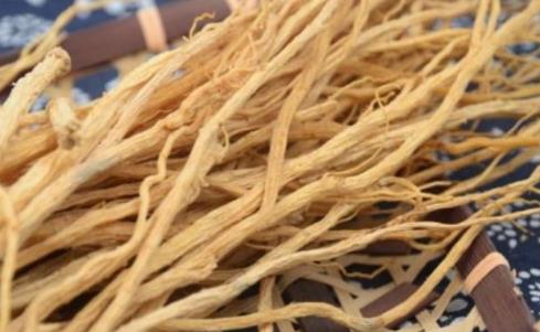 吃土黨參的好處是什么?吃土黨參的注意事項(xiàng)