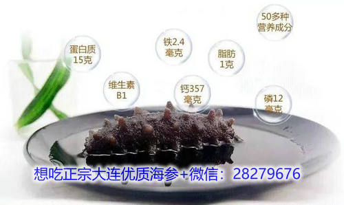 海參的營(yíng)養(yǎng)價(jià)值和功效你都知道嗎?吃海參能補(bǔ)什么? 海參營(yíng)養(yǎng).jpg
