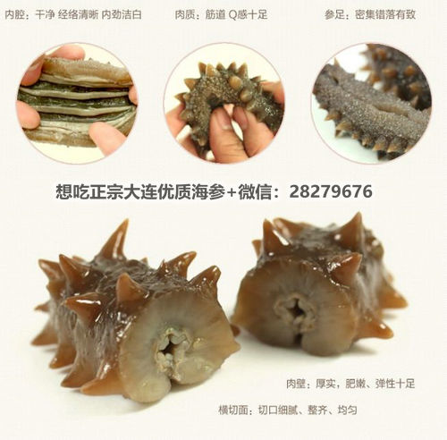 海參的營(yíng)養(yǎng)價(jià)值和功效你都知道嗎?吃海參能補(bǔ)什么? src=http___img004.file.rongbiz.cn_uploadfile_201412_09_11_11-41-13-73-836596.png&refer=http___img004.file.rongbiz.jpg