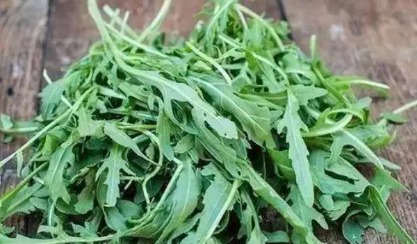 芝麻菜長什么樣子的圖片 芝麻菜有哪些功效與作用