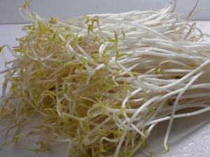 如何挑選優質豆芽？豆芽的挑選方法