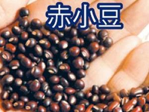 赤小豆是紅豆嗎？赤小豆和紅豆的區別