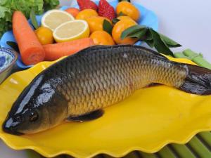 如何烹飪鯉魚？鯉魚怎么做好吃