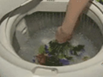 ϴ