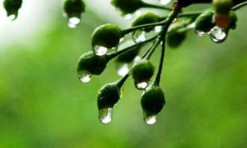 梅雨季節開窗會增加濕度嗎?梅雨季節開窗會不會引起涂料發霉