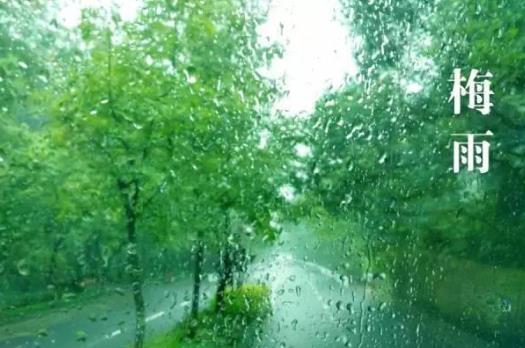 梅雨季節開窗會增加濕度嗎?梅雨季節開窗會不會引起涂料發霉