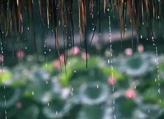 梅雨季節開窗戶復合板會受潮嗎?梅雨季節如何防潮