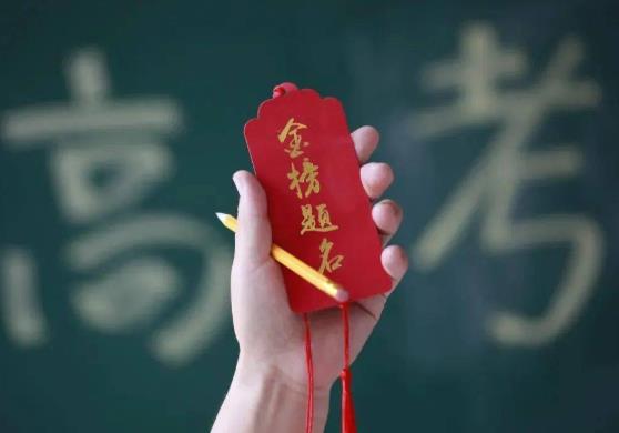2021年新高考能填報多少個志愿?2021年新高考所有省市都是全國卷嗎?