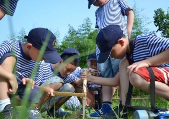 夏令營是什么?夏令營活動有哪些內容