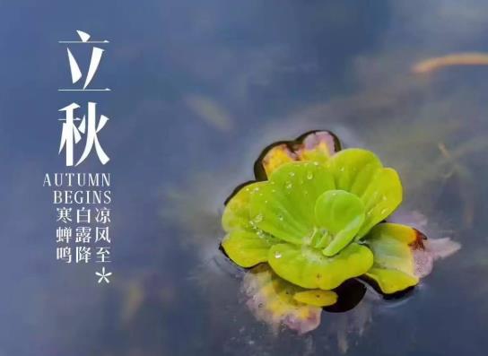 東北立秋后雨水多不多?東北立秋后氣溫大約多少度?