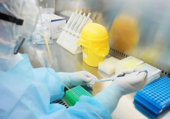 取核酸檢測結果可以用發票代取嗎?核酸檢測取樣要幾分鐘